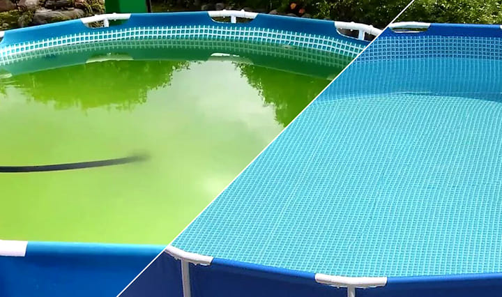 Grünes Wasser im Pool