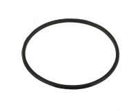 Dichtring für den Filterdeckel Kripsol AKT RRFI0003.03R