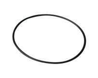 Dichtungsring für Diffusor der Emaux-Pumpe AFS 2010251